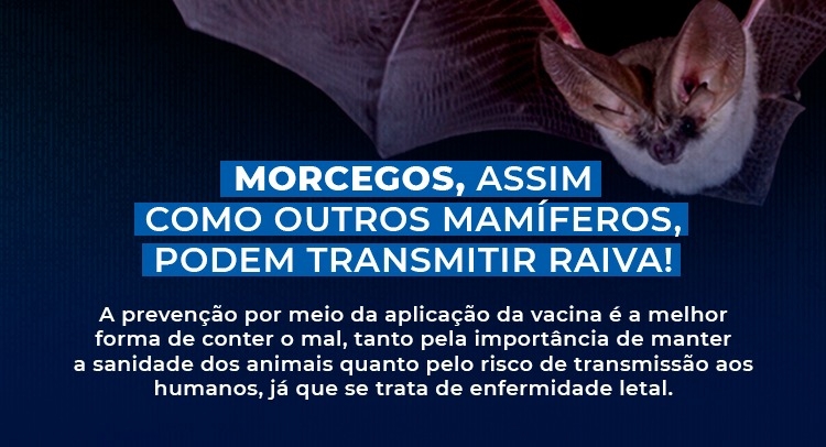 Capa da notícia